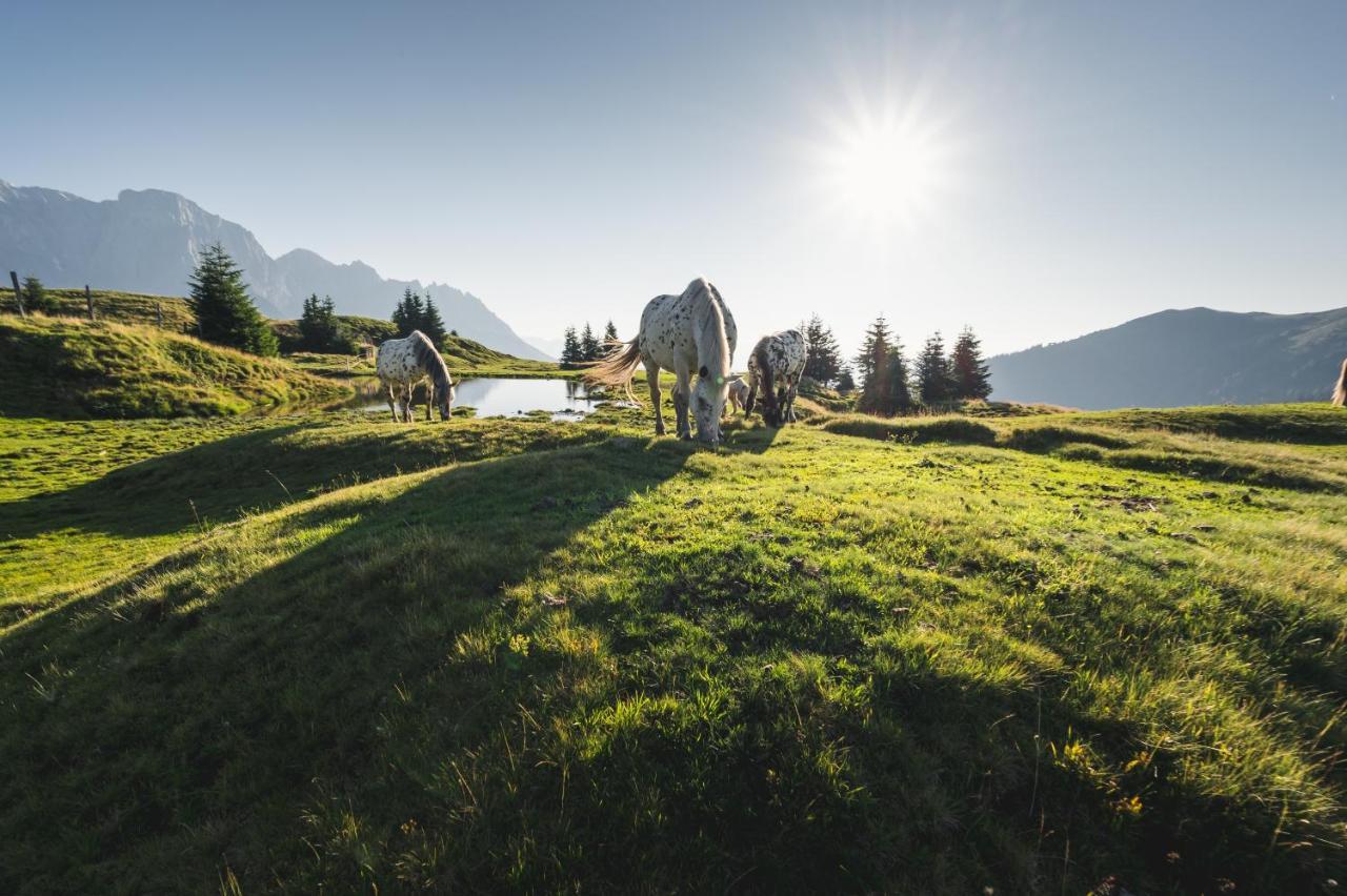 Mühlbach am Hochkönig Alpenparks Hotel & Apartment Hochkoenig المظهر الخارجي الصورة
